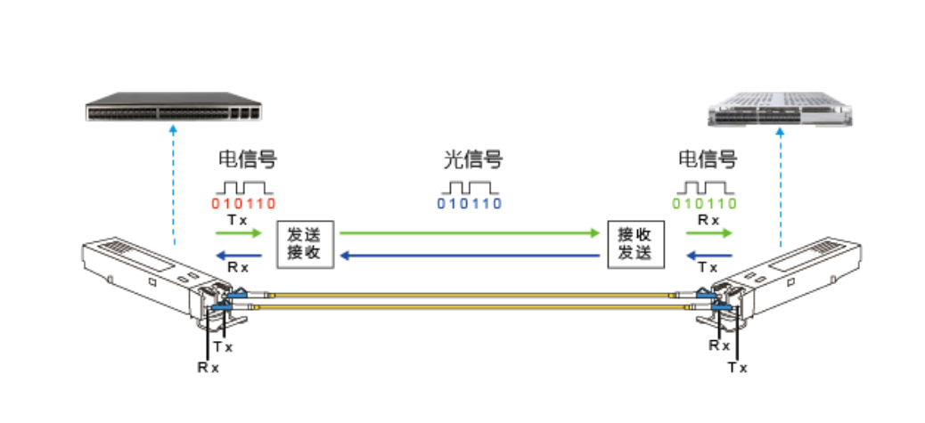 【科普】光？榈闹饕钢制骷的特征与光？榉庾扒逑醇两樯